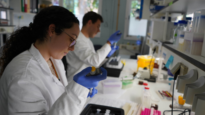 microbiota trasplantament investigadors al laboratori